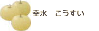 category_12A_01.png